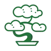 icons8-bonsai-100